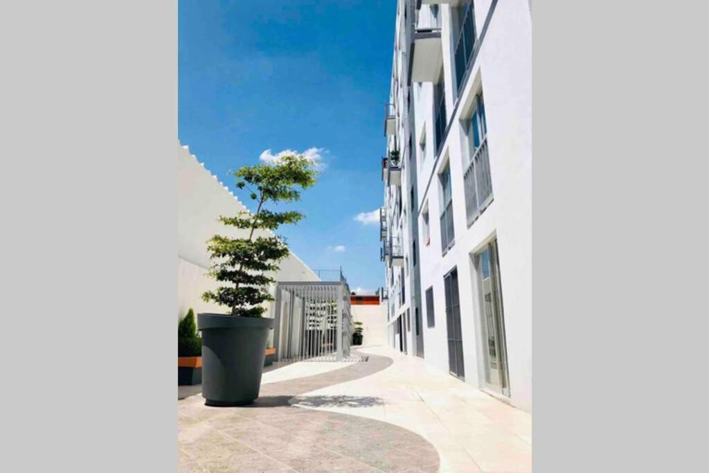 Appartamento Departamento *Mundo Viajero* Guadalajara Esterno foto